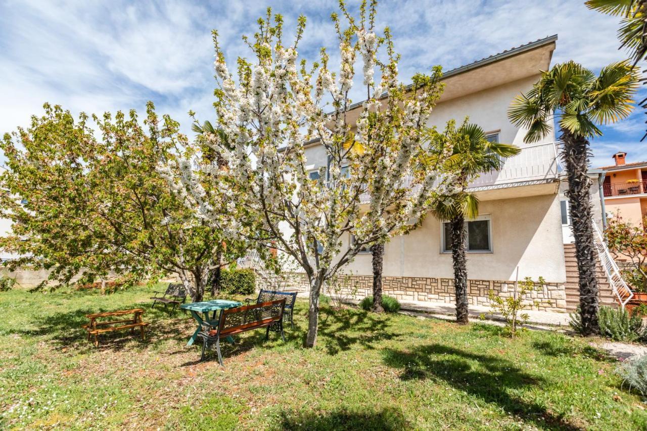 Apartments Villa Pavle 罗维尼 外观 照片